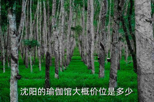 沈阳的瑜伽馆大概价位是多少
