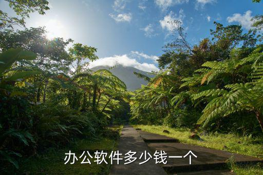 办公软件多少钱一个