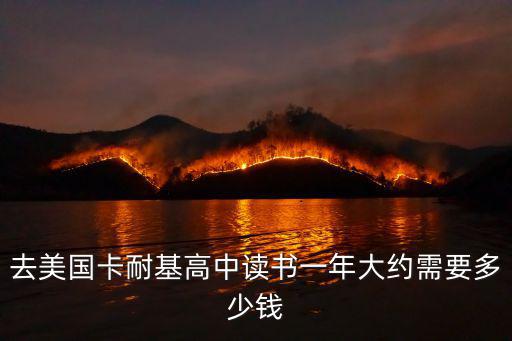 去美国卡耐基高中读书一年大约需要多少钱