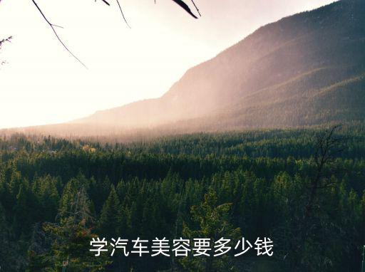 学汽车美容要多少钱