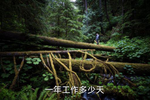 一年工作多少天