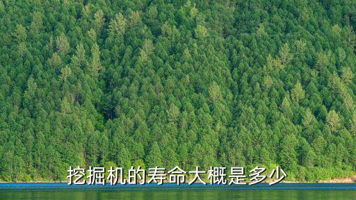 挖掘机的寿命大概是多少