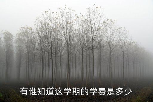 有谁知道这学期的学费是多少