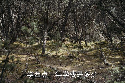 学西点一年学费是多少