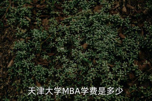 天津大学MBA学费是多少