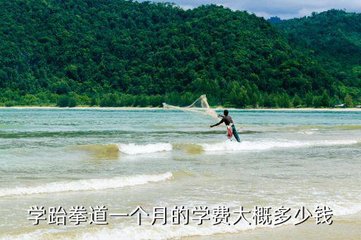 学跆拳道一个月的学费大概多少钱