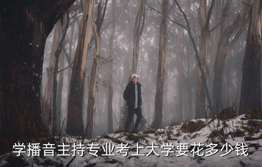 学播音主持专业考上大学要花多少钱