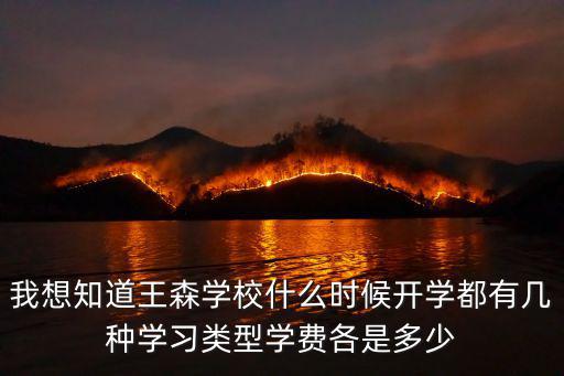 我想知道王森学校什么时候开学都有几种学习类型学费各是多少
