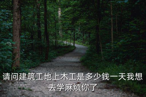 请问建筑工地上木工是多少钱一天我想去学麻烦你了