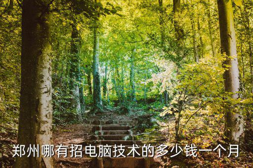 郑州哪有招电脑技术的多少钱一个月