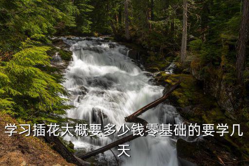 学习插花大概要多少钱零基础的要学几天