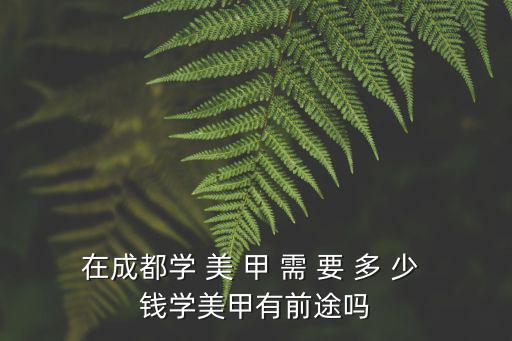 成都学美甲多少钱，在成都学 美 甲 需 要 多 少 钱学美甲有前途吗