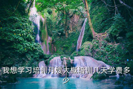 我想学习培训月嫂大概培训几天学费多少