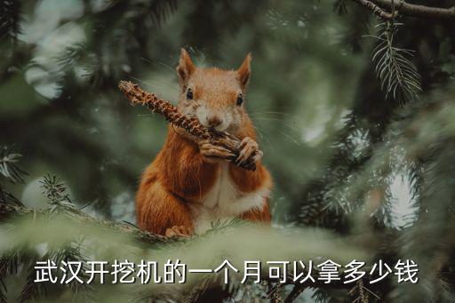 武汉开挖机的一个月可以拿多少钱