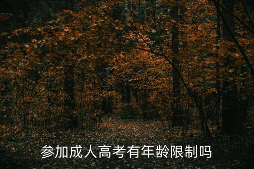 参加成人高考有年龄限制吗