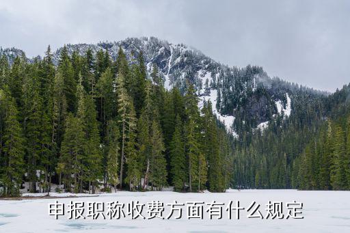 申报职称收费方面有什么规定