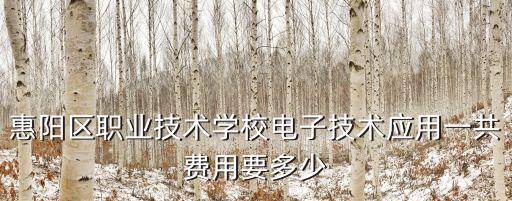 惠阳职校报名多少钱，惠阳财经外贸职业技术学校学费多少