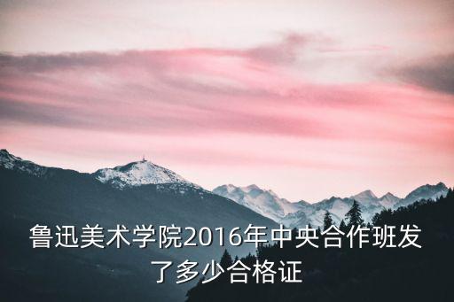 2016鲁美下多少证，2016年鲁美共发了多少个美术合格证