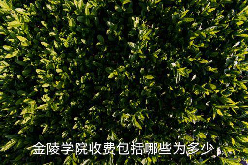金陵学院收费包括哪些为多少