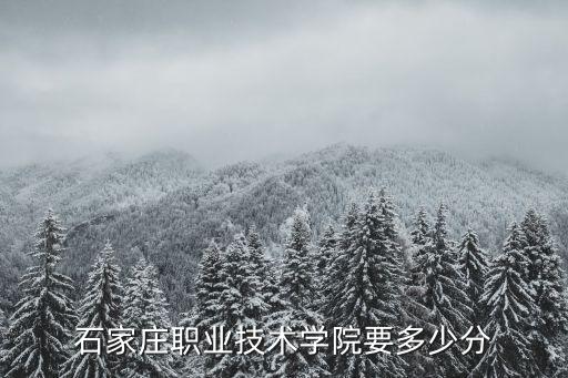 石家庄职业技术学院要多少分
