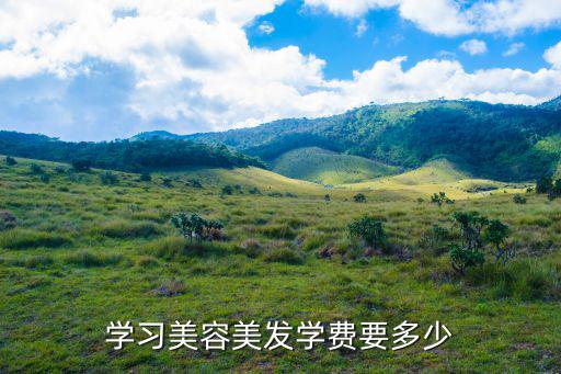 学习美容美发学费要多少