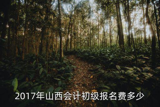 2017年山西会计初级报名费多少