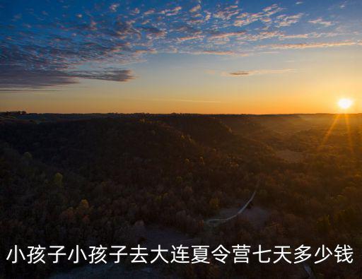 小孩子小孩子去大连夏令营七天多少钱