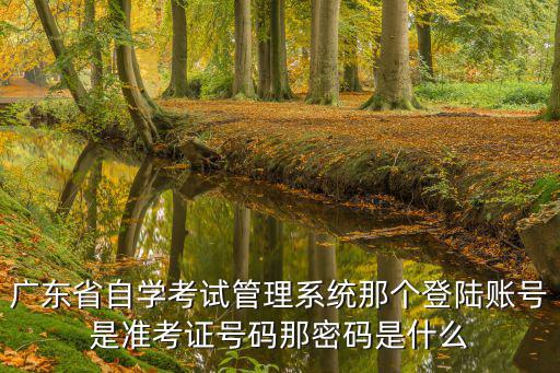 广东省自学考试管理系统那个登陆账号是准考证号码那密码是什么
