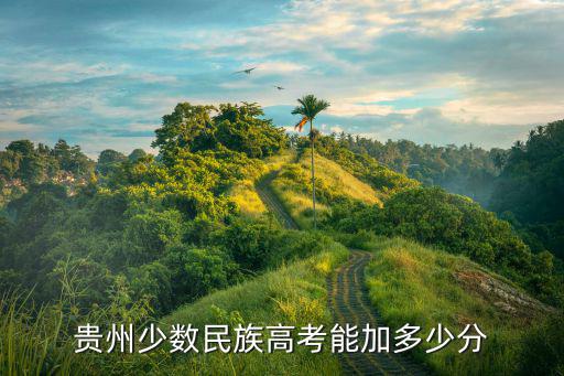 贵州少数民族高考能加多少分