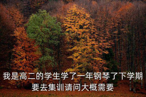 我是高二的学生学了一年钢琴了下学期要去集训请问大概需要
