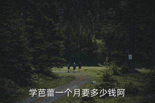 南昌学芭蕾多少钱，想去南昌BSC学breaking价格和课程安排是怎样的