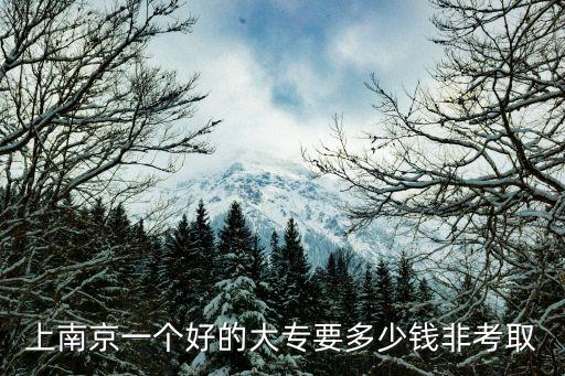 上南京一个好的大专要多少钱非考取