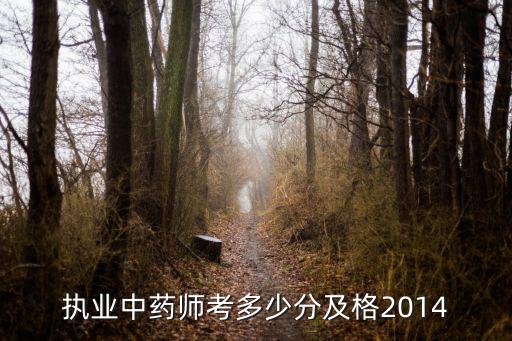 执业中药师考多少分及格2014