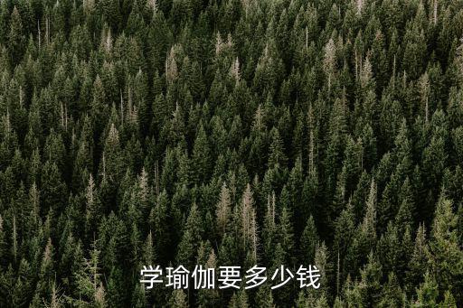 学瑜伽要多少钱