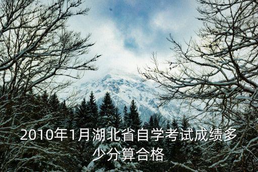 2010年1月湖北省自学考试成绩多少分算合格