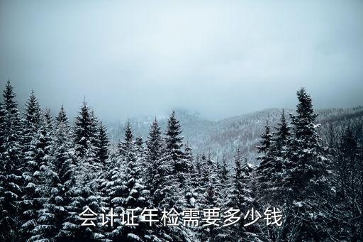 会计证年检需要多少钱