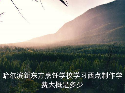 哈尔滨新东方烹饪学校学习西点制作学费大概是多少