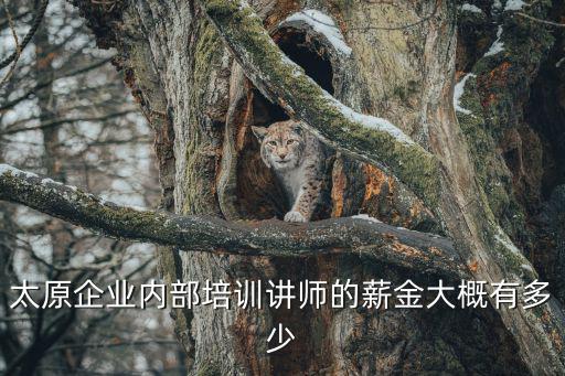 太原企业内部培训讲师的薪金大概有多少