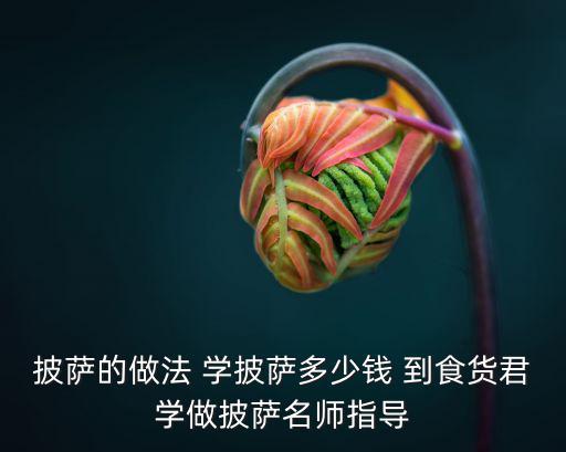 学披萨多少钱，开披萨店要多少钱哪里能学技术
