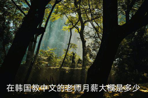 韩国教中文月薪多少，在韩国教中文月薪一般是多少