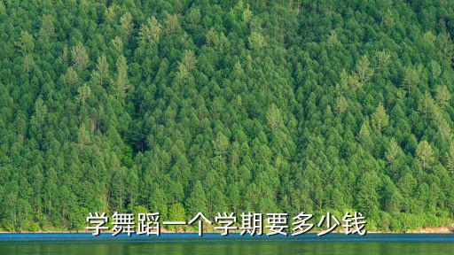 学舞蹈一个学期要多少钱
