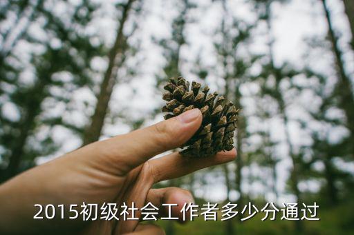 2015初级社会工作者多少分通过
