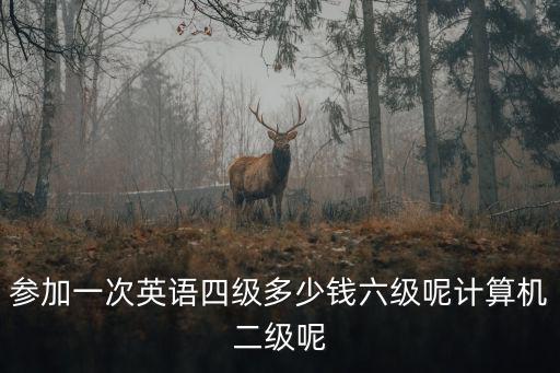 参加一次英语四级多少钱六级呢计算机二级呢
