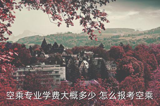 空乘专业学费大概多少 怎么报考空乘