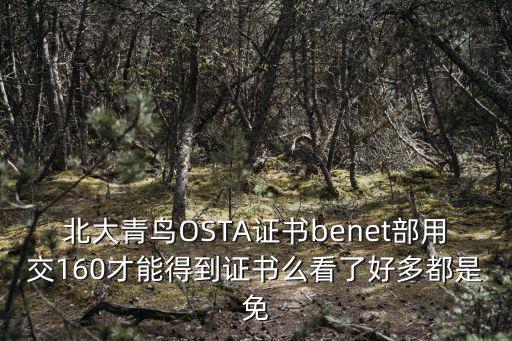 北大青鸟OSTA证书benet部用交160才能得到证书么看了好多都是免