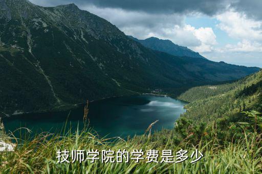 技师学院的学费是多少