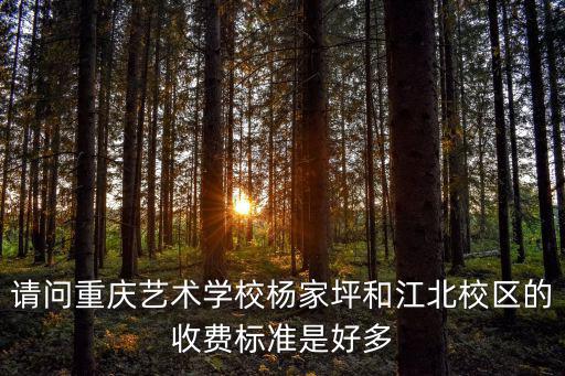 请问重庆艺术学校杨家坪和江北校区的收费标准是好多