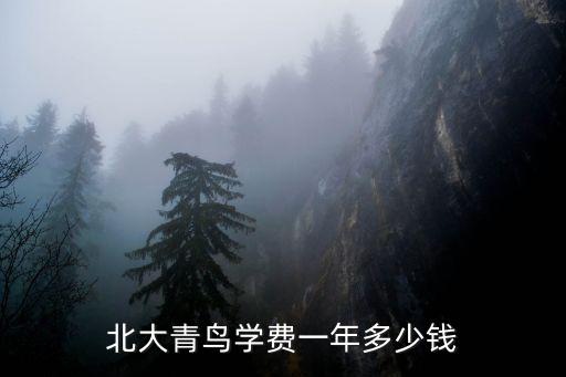 北大青鸟学费一年多少钱