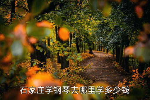 石家庄学钢琴去哪里学多少钱