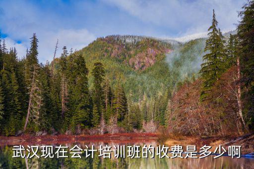 汉阳会计培训多少钱，武汉现在会计培训班的收费是多少啊